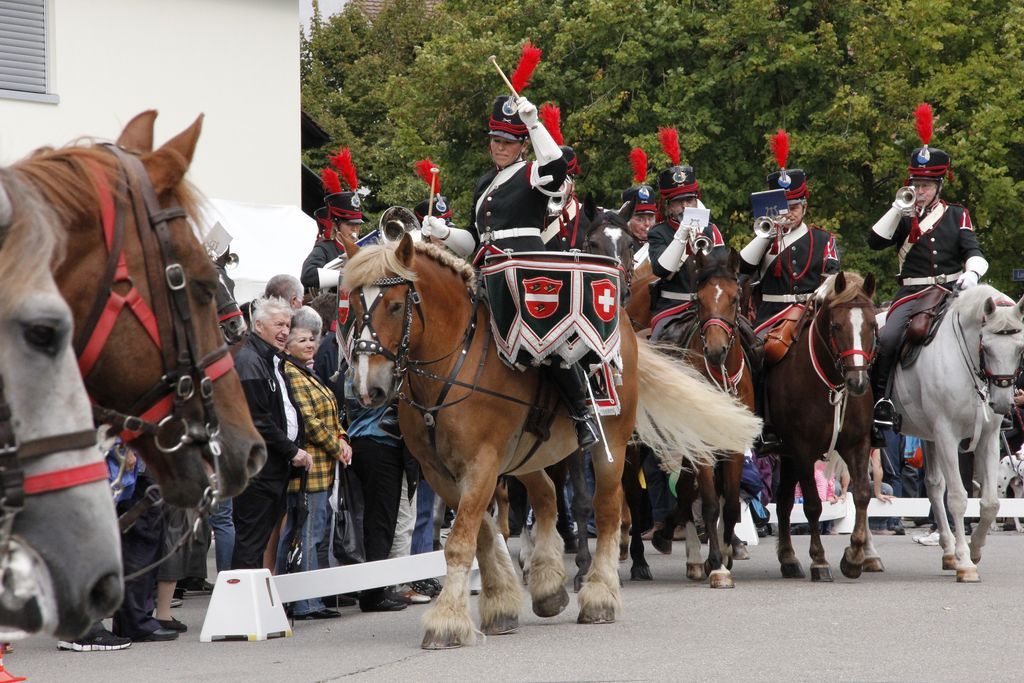 50 Jahre Reitermusik Elgg 2013