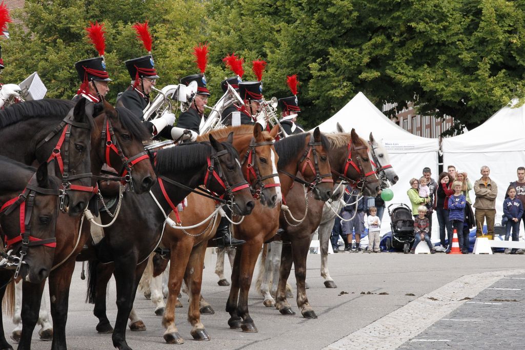 50 Jahre Reitermusik Elgg 2013