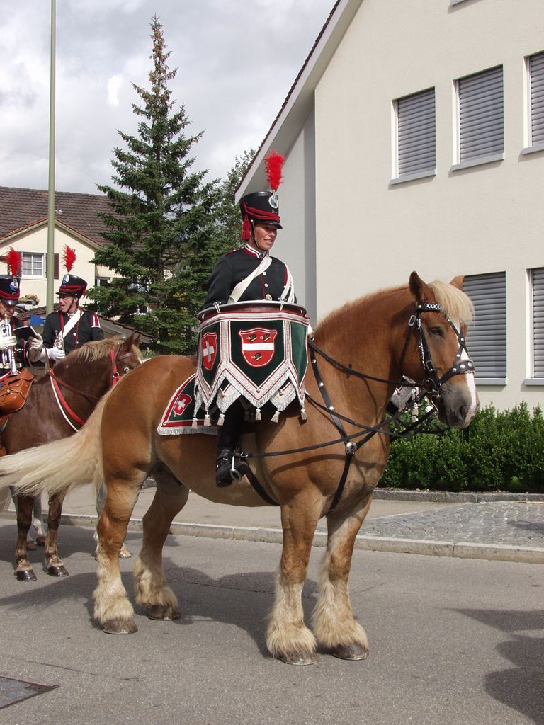 50 Jahre Reitermusik Elgg 2013