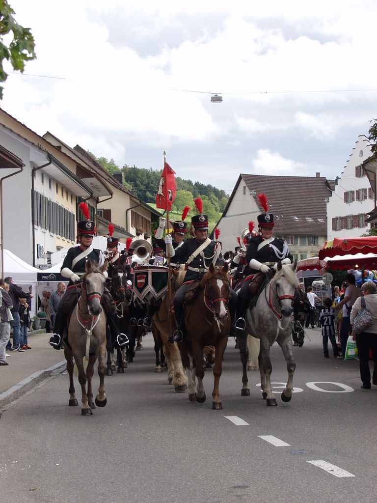 50 Jahre Reitermusik Elgg 2013