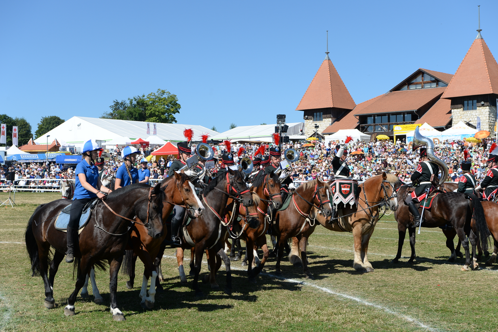 Marché Concours Saignelegier 2016