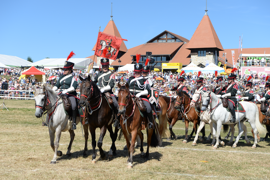 Marché Concours Saignelegier 2016