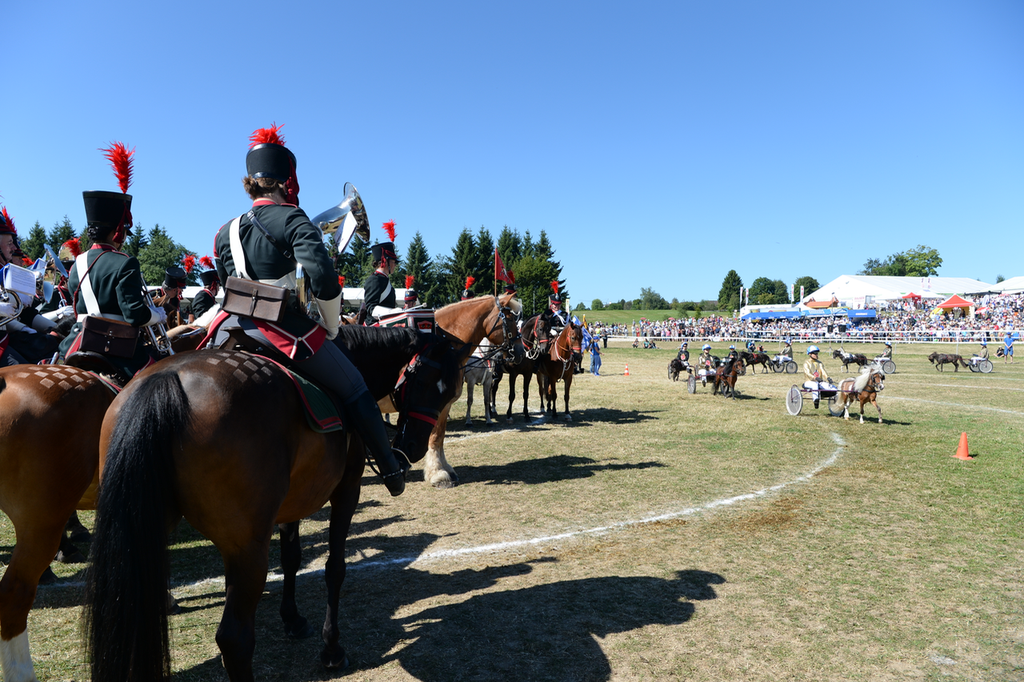 Marché Concours Saignelegier 2016