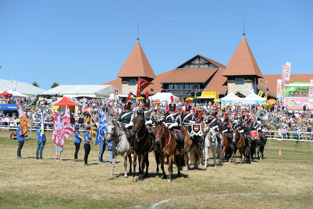 Marché Concours Saignelegier 2016