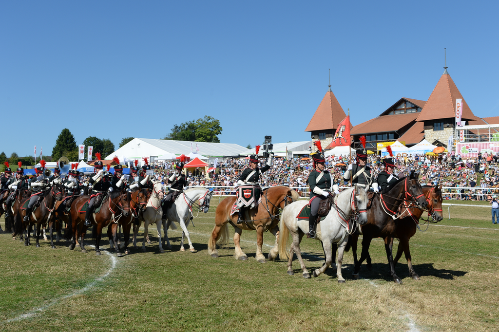 Marché Concours Saignelegier 2016