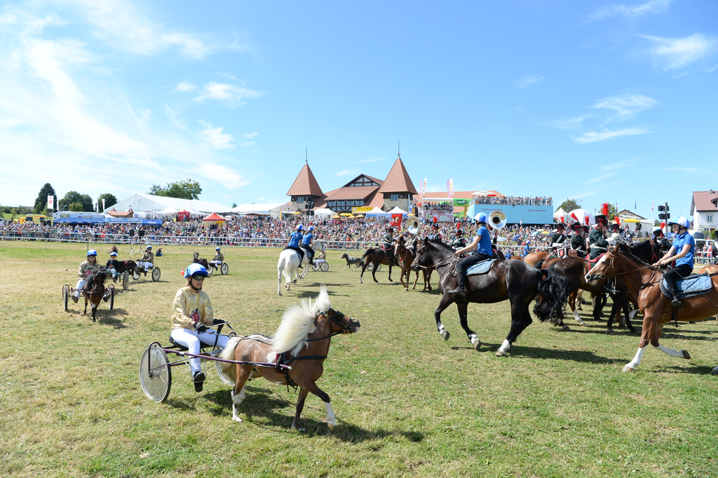 Marché Concours Saignelegier 2016