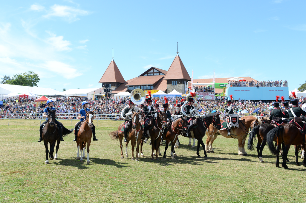 Marché Concours Saignelegier 2016