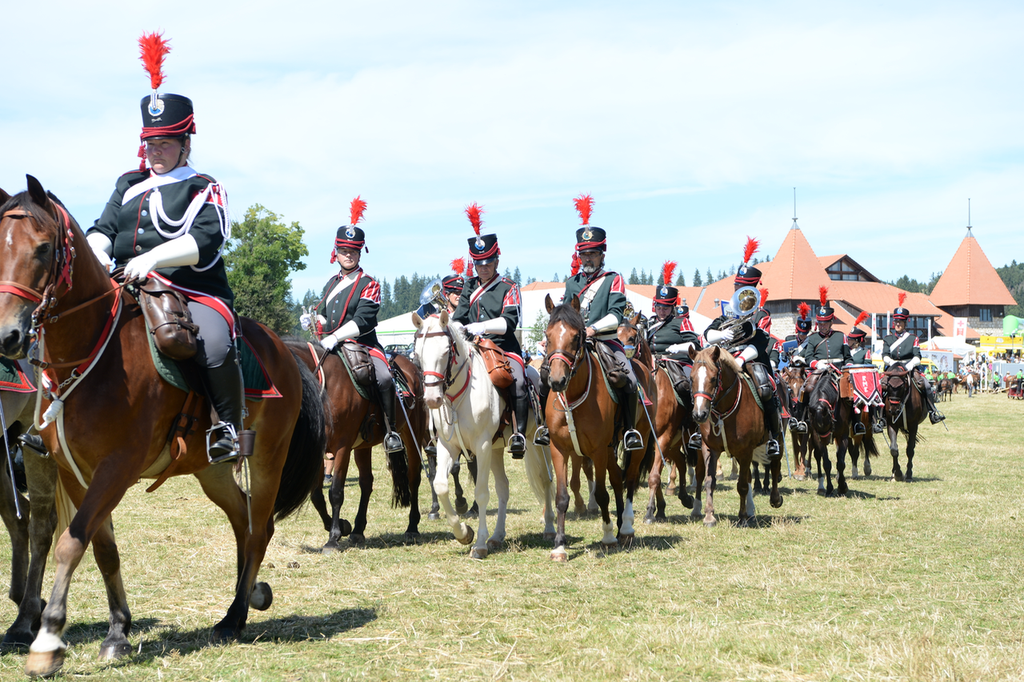 Marché Concours Saignelegier 2016