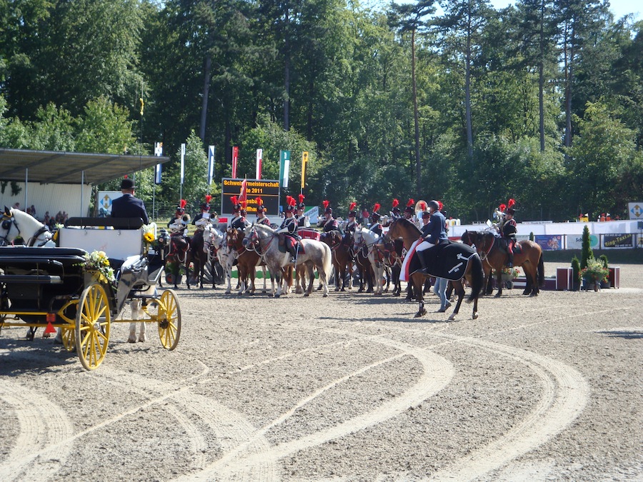 SM Elite Springen Schaffhausen 2011