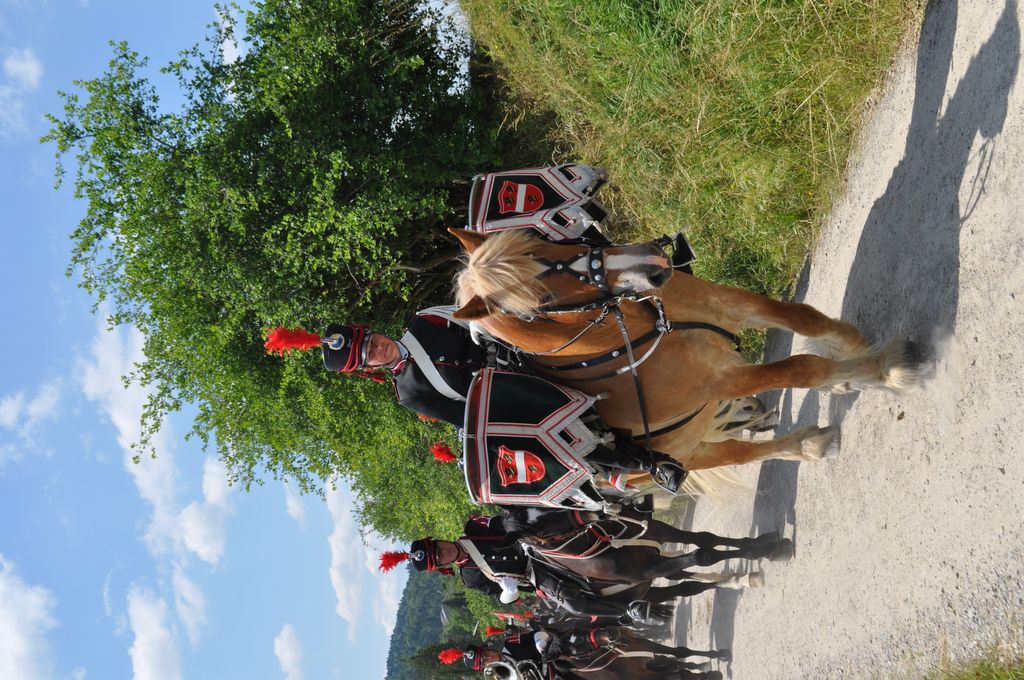 Sommerfestspiele 2014