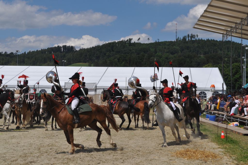 Sommerfestspiele 2014