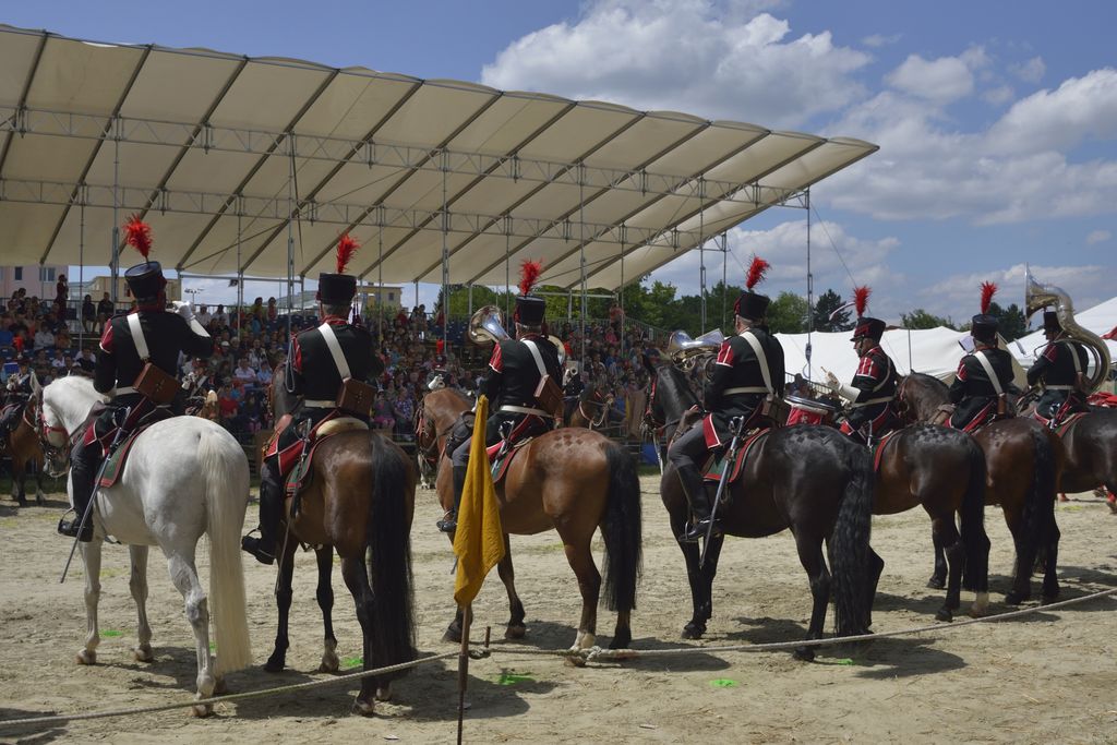 Sommerfestspiele 2014